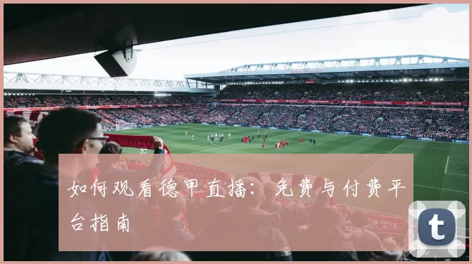 如何观看德甲直播:免费与付费平台指南