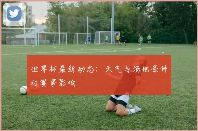 世界杯最新动态:天气与场地条件对赛事影响